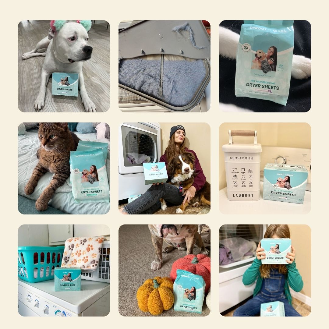 Dryer Sheets for Pet Owners - Summer Wisteria