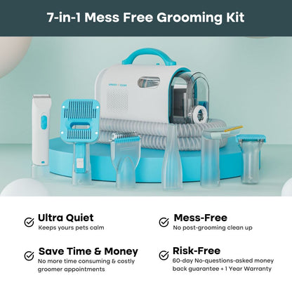 The Everything Bundle