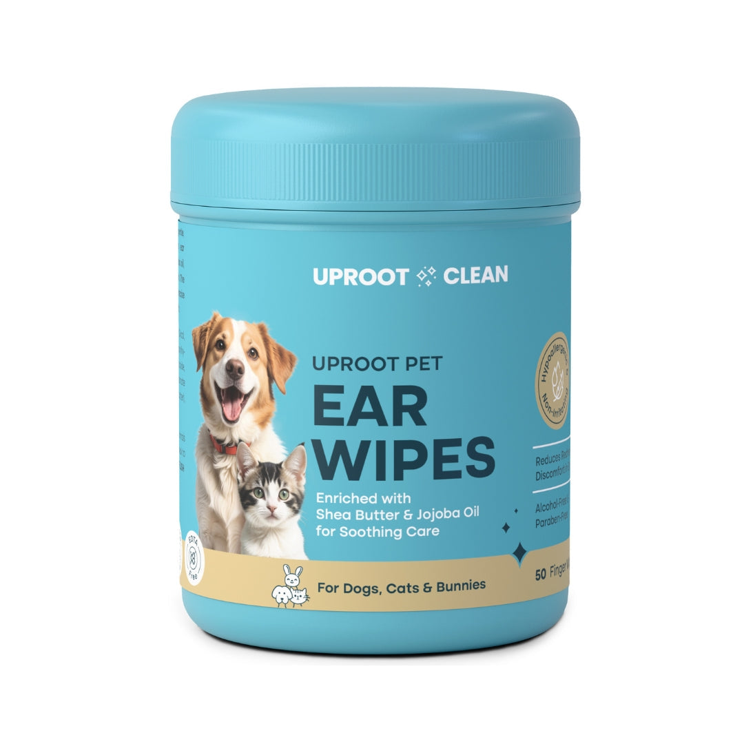 Ear Wipes