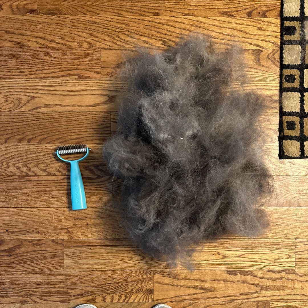 Cat and Dog Brush