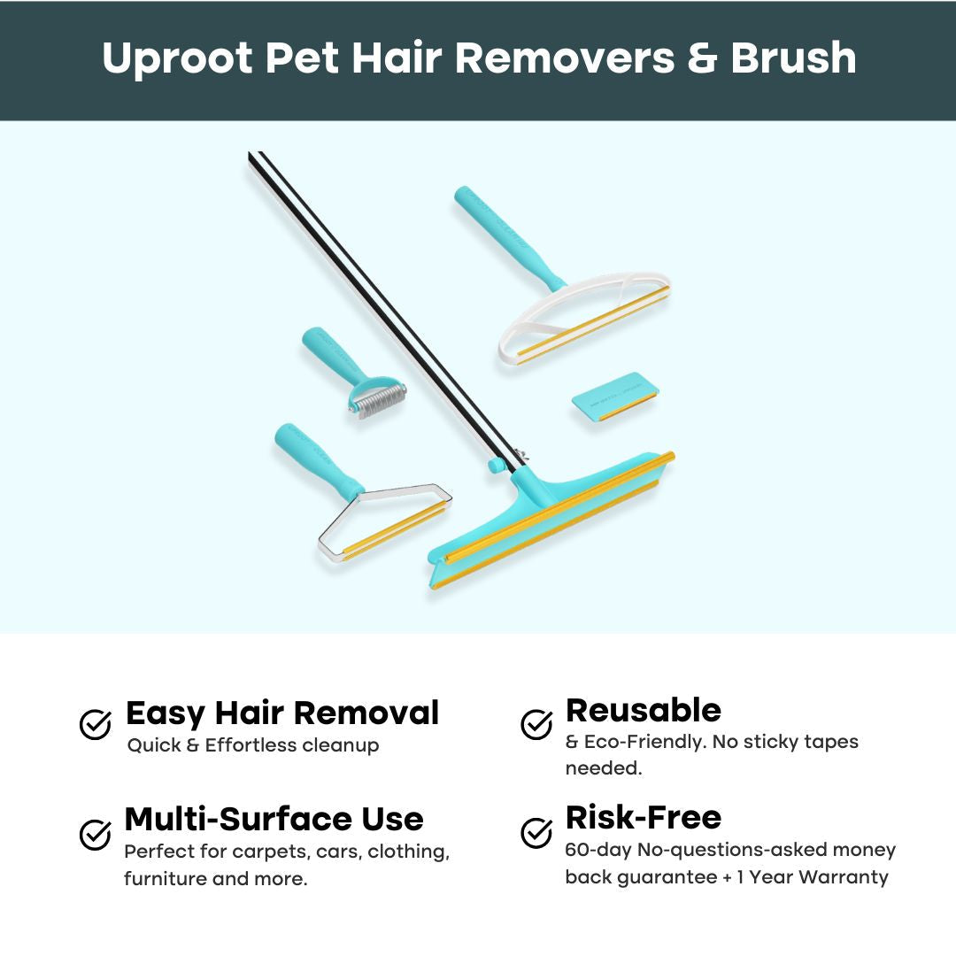 The Everything Bundle