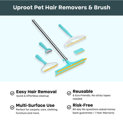 The Everything Bundle