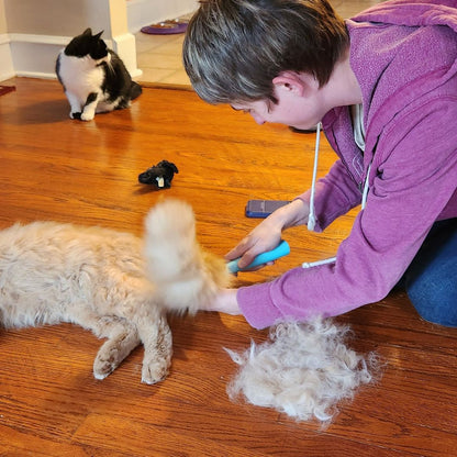 Cat and Dog Brush