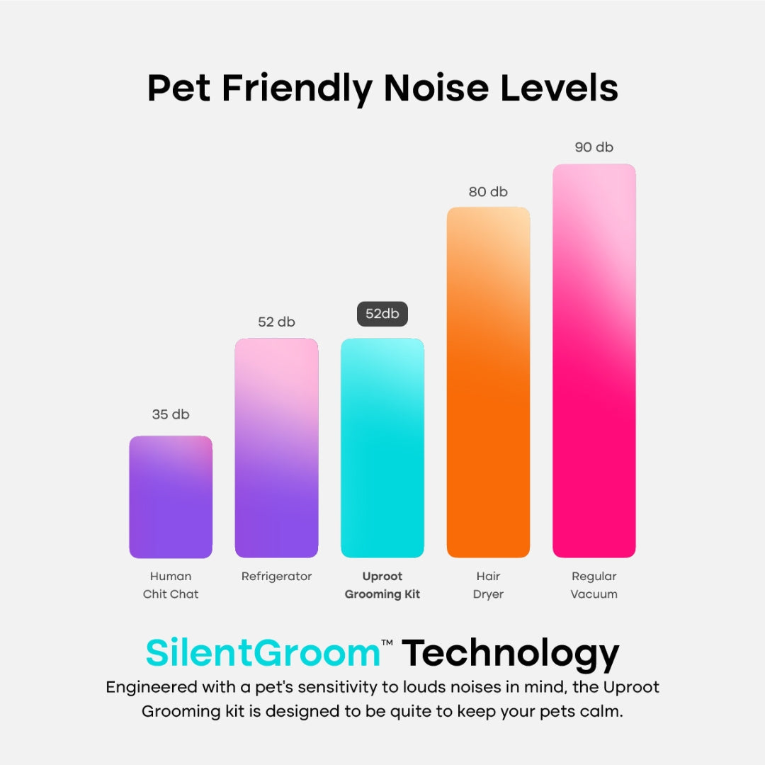 The Everything Bundle