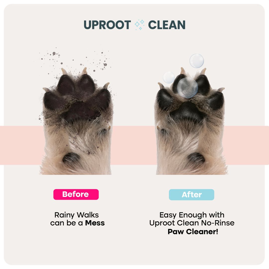 Paw Cleaner - Rinse-Free Foam Cleanser