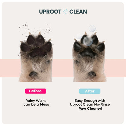 Paw Cleaner - Rinse-Free Foam Cleanser