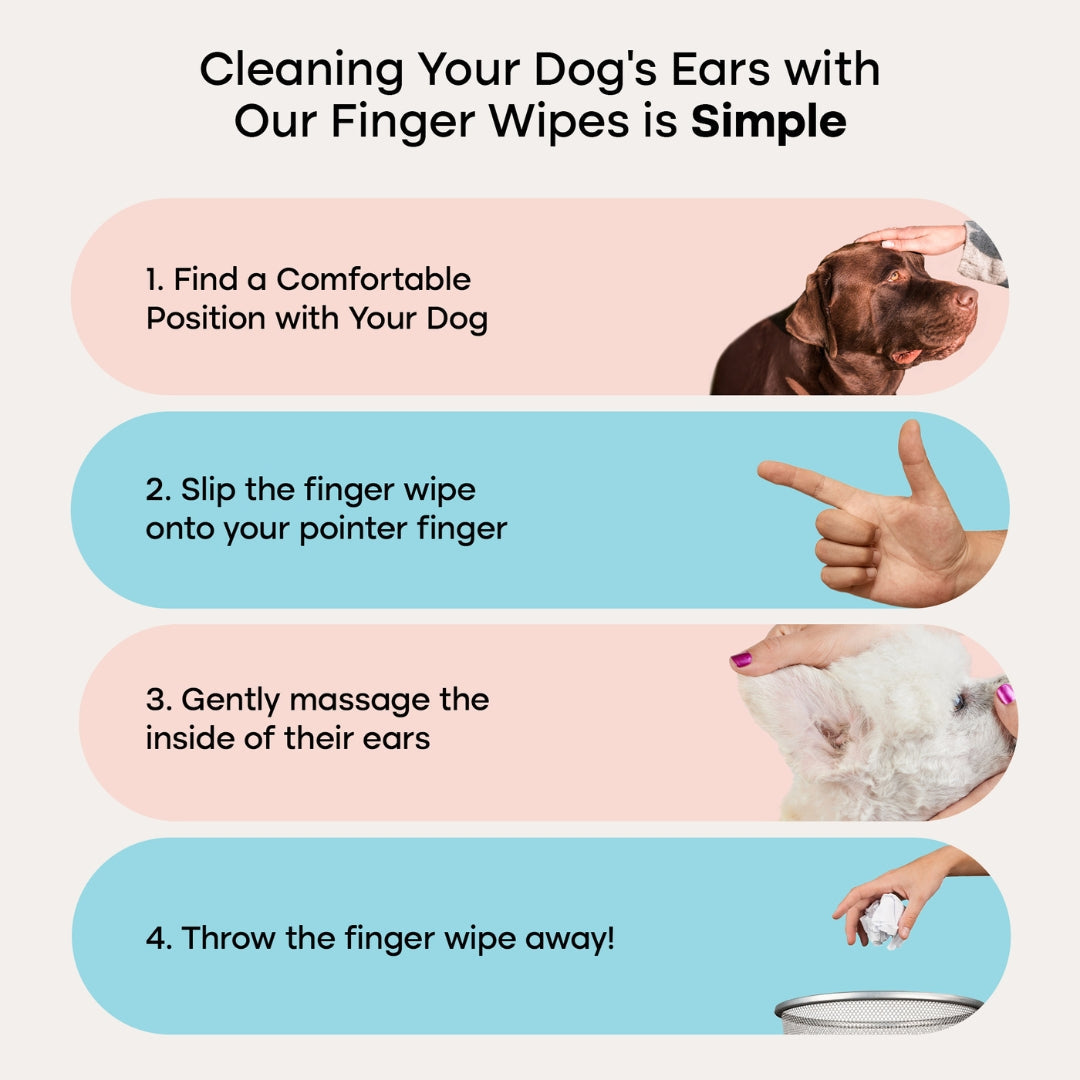 Ear Wipes