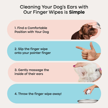 Ear Wipes
