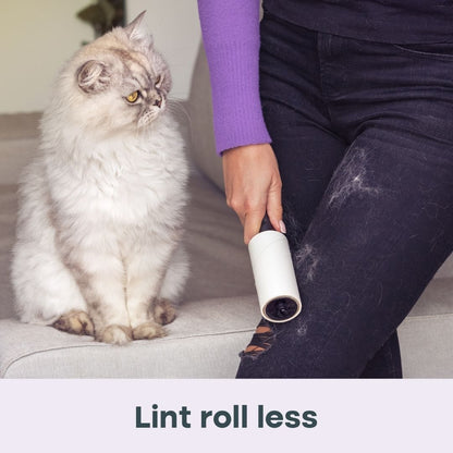 Dryer Sheets for Pet Owners - Summer Wisteria