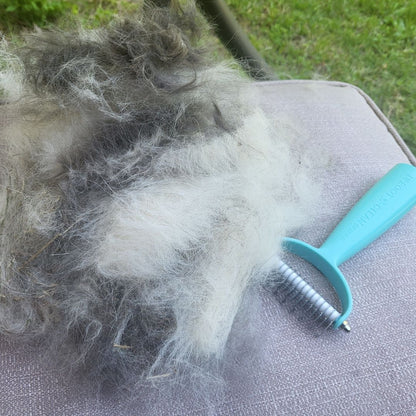 Cat and Dog Brush