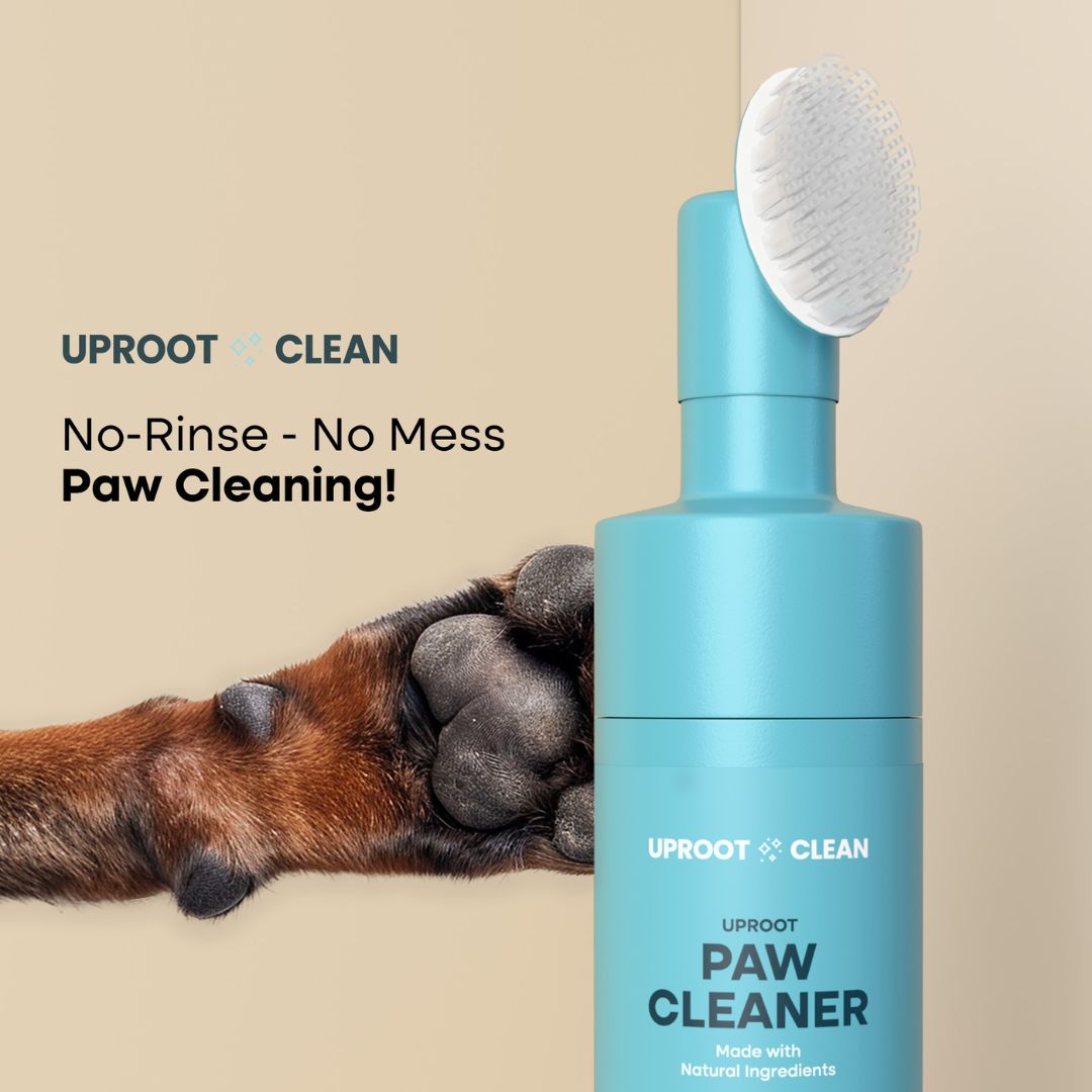 Paw Cleaner - Rinse-Free Foam Cleanser