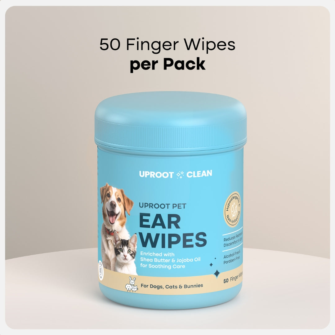 Ear Wipes
