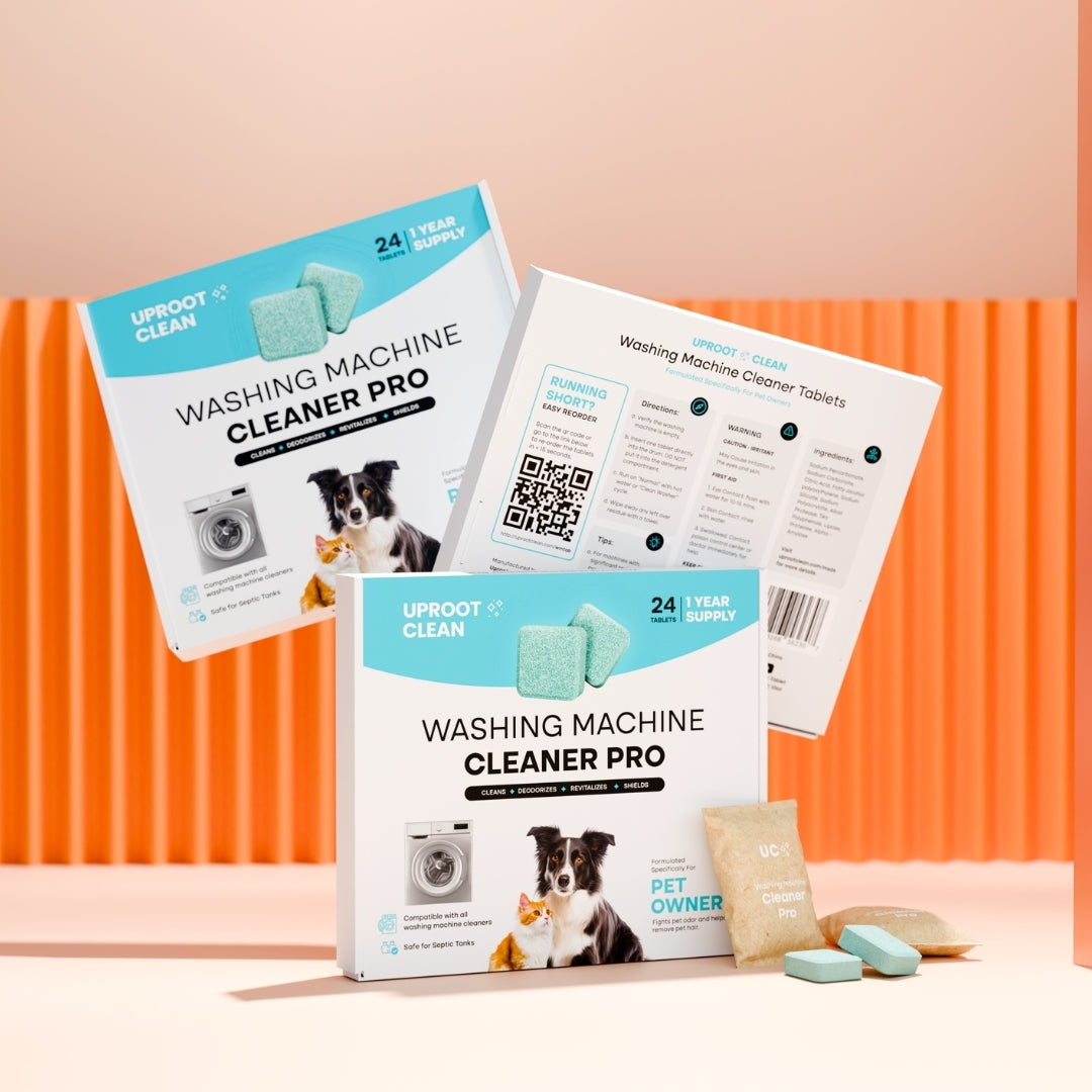 The Everything Bundle