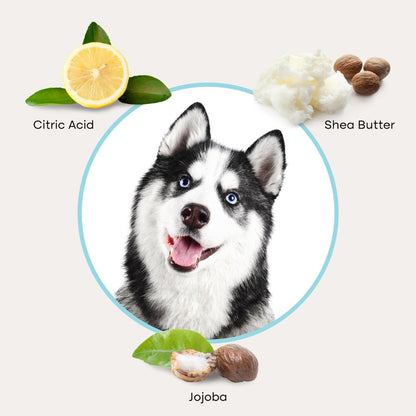 QuickClean™ Gloves Pro