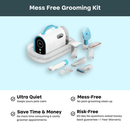 The Everything Bundle