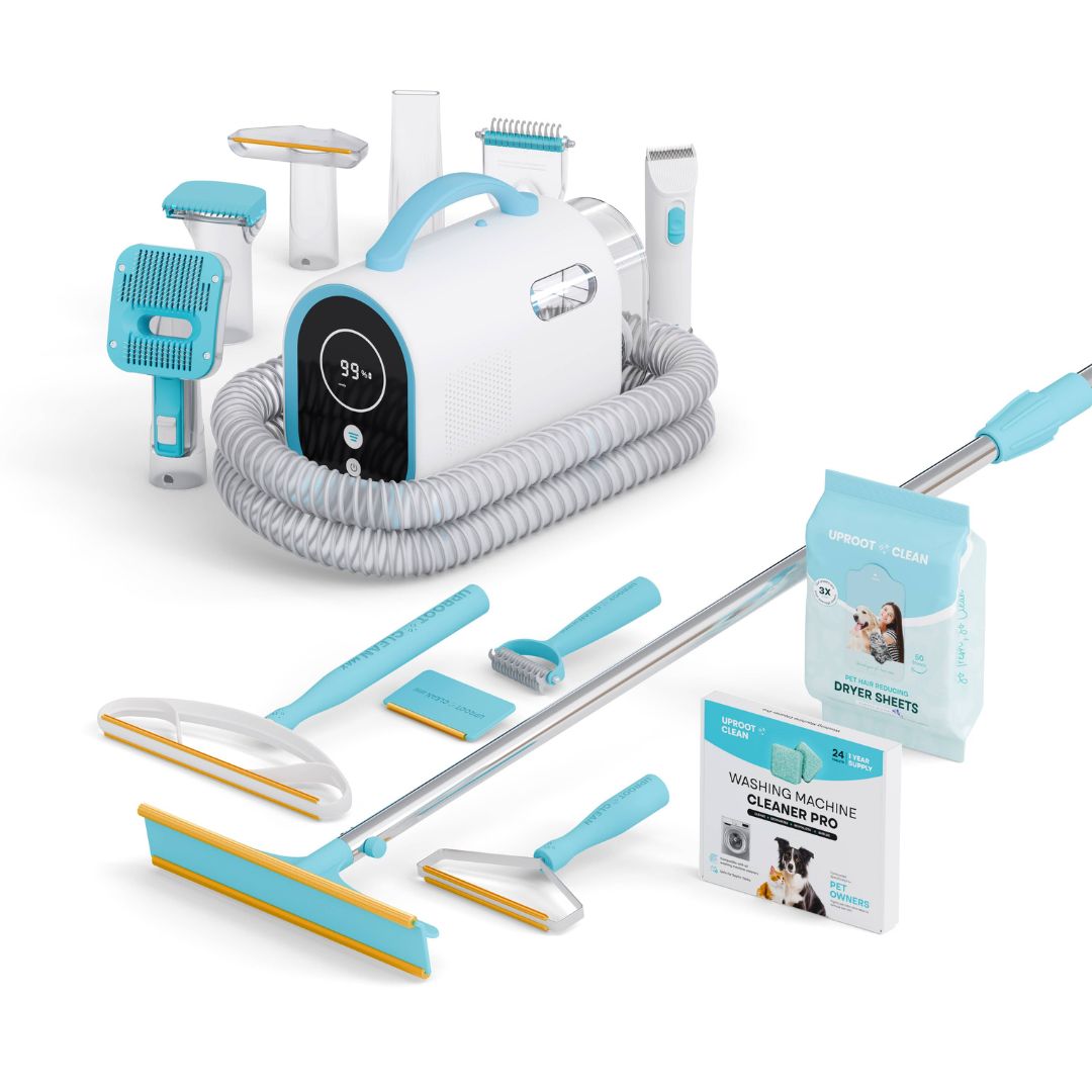 The Everything Bundle