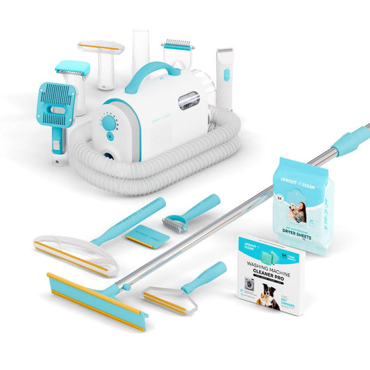 The Everything Bundle