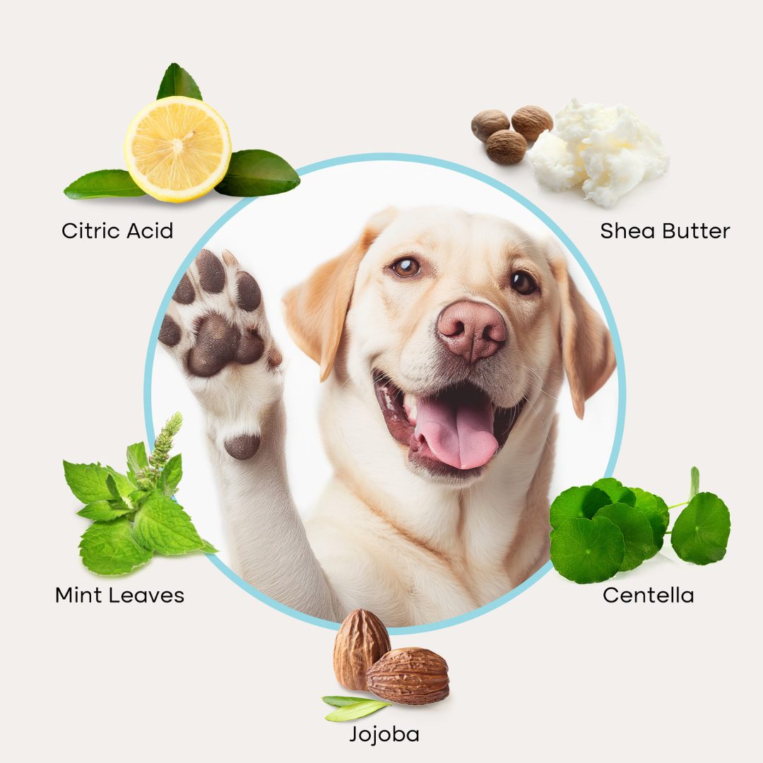 Paw Cleaner - Rinse-Free Foam Cleanser