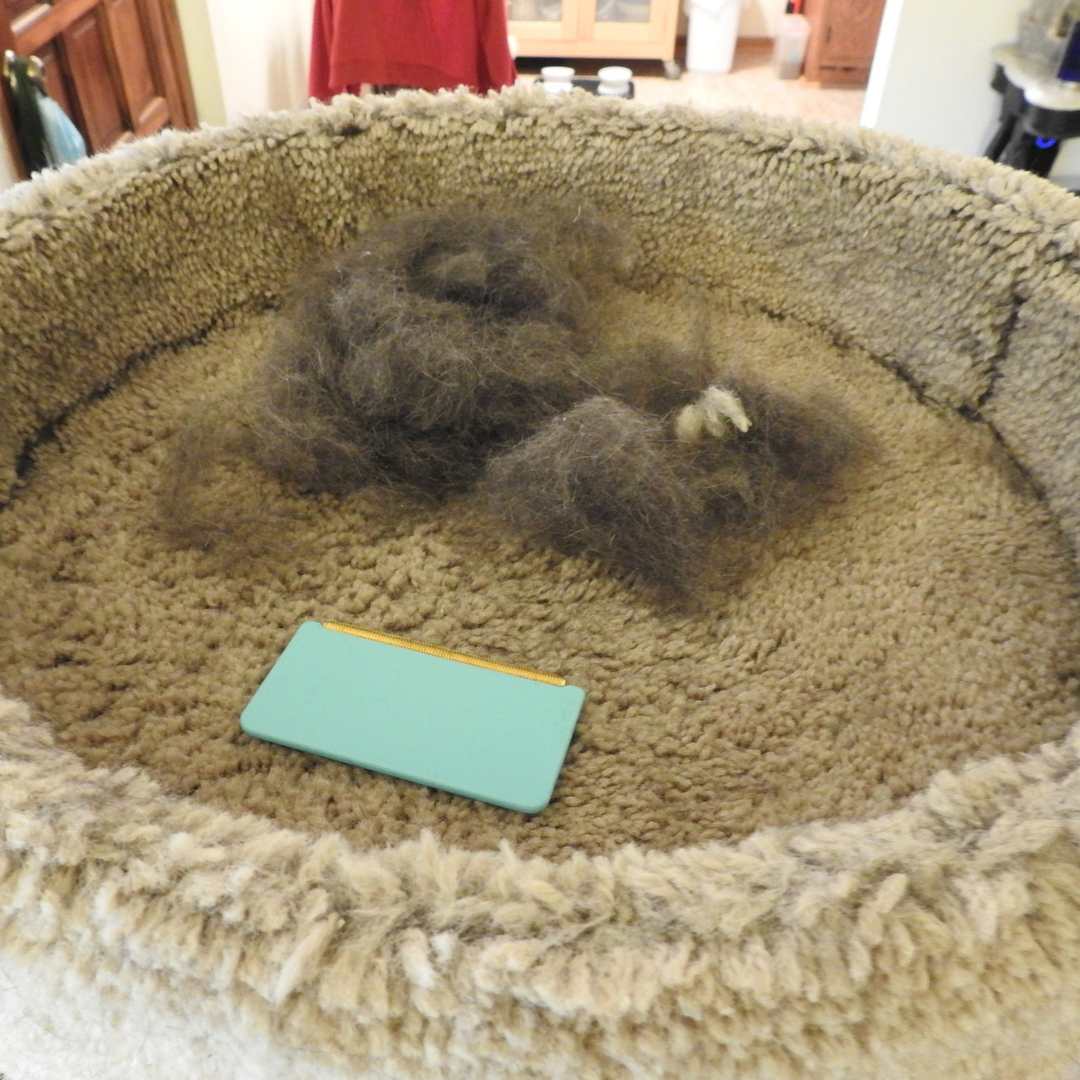 Effective Fur-Free Starter Kit - Mini, Pro & Xtra