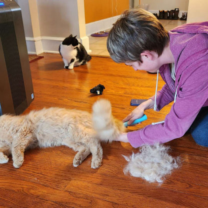 The Ultimate Clean Bundle - All Cleaners & Deshedder